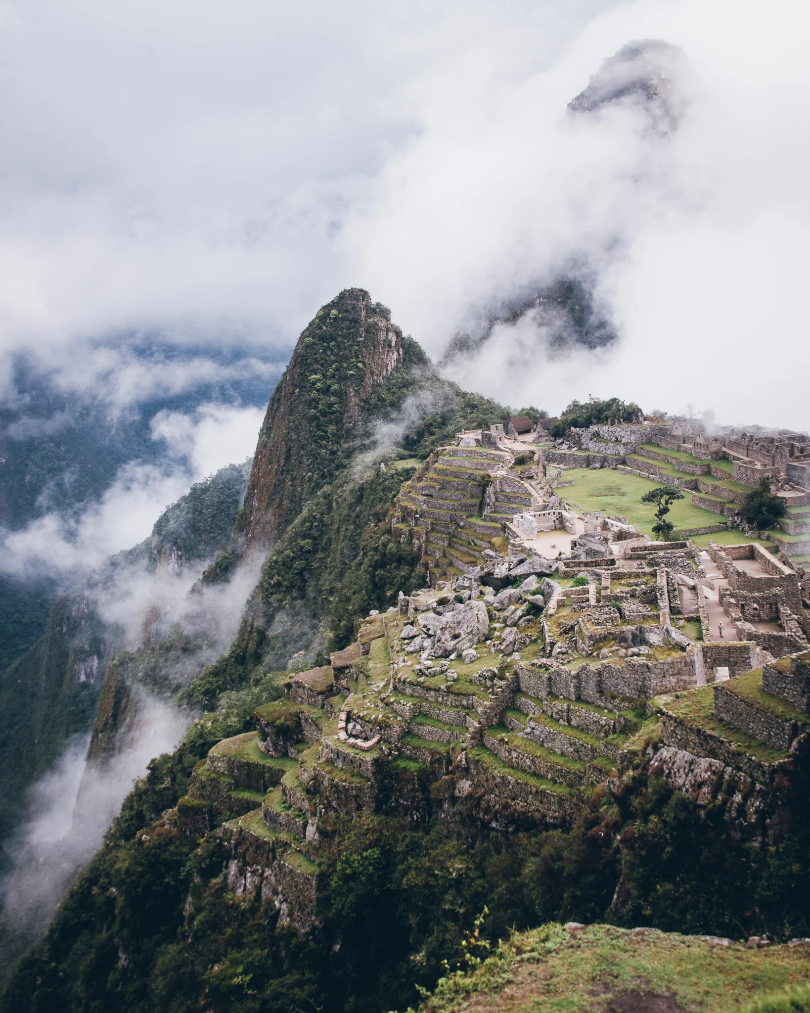 Inna Shnayder @Inna.Shnayder-92.jpg