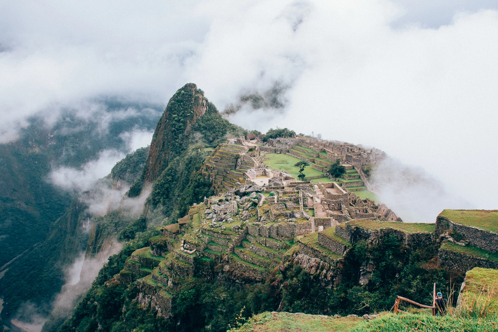 Inna Shnayder @Inna.Shnayder-91.jpg