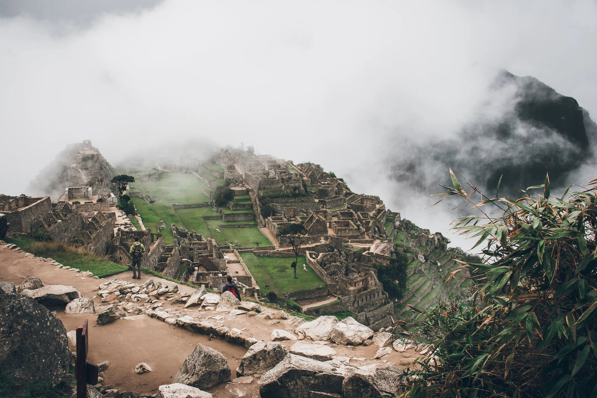 Inna Shnayder @Inna.Shnayder-87.jpg