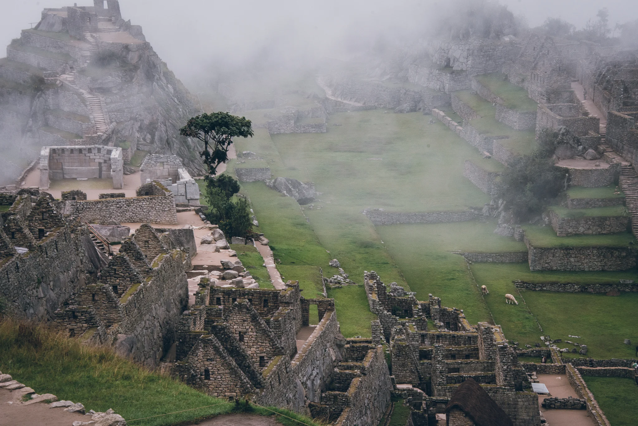 Inna Shnayder @Inna.Shnayder-86.jpg