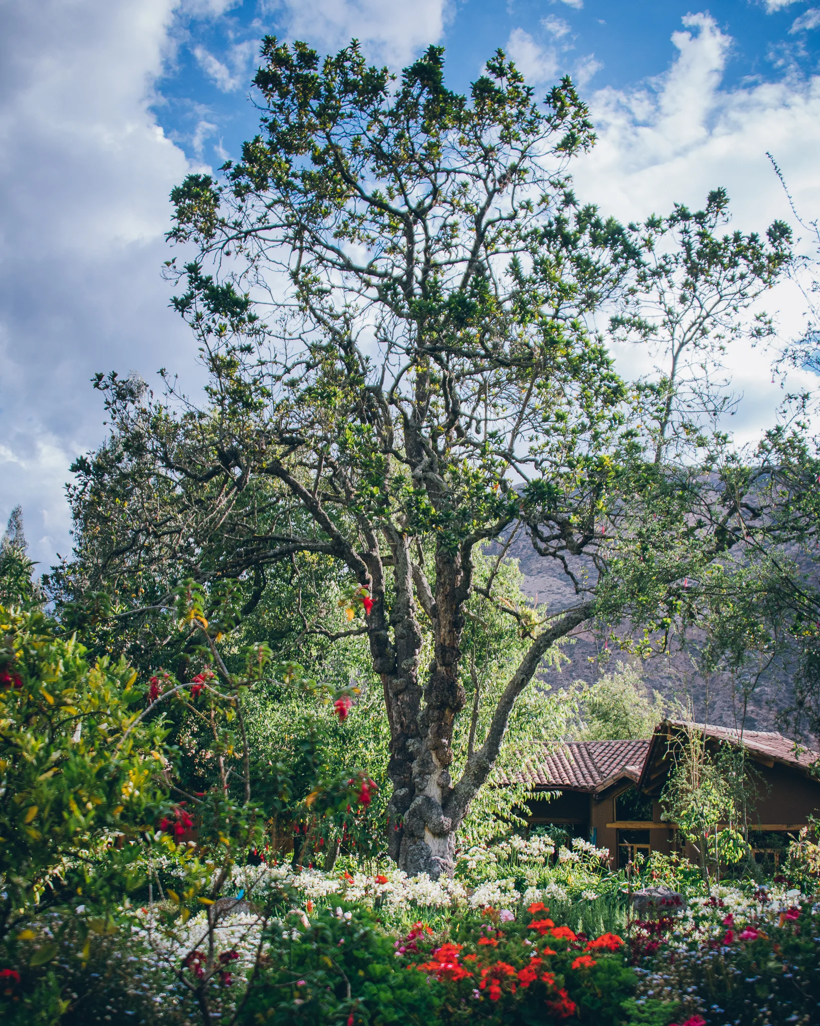 Inna Shnayder @Inna.Shnayder-75.jpg