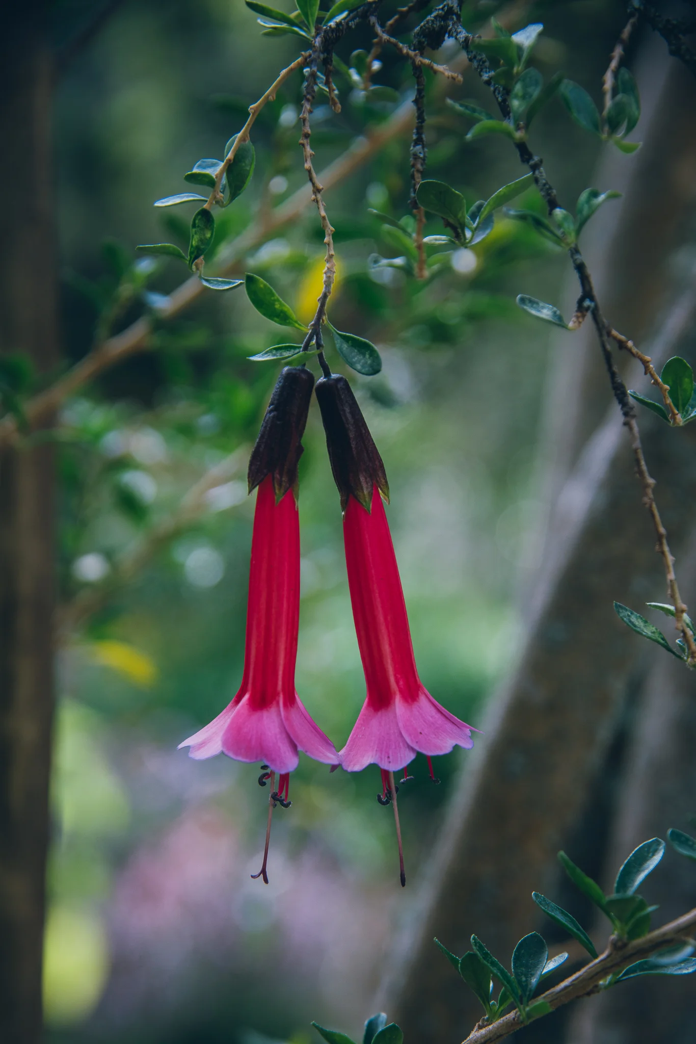 Inna Shnayder @Inna.Shnayder-74.jpg