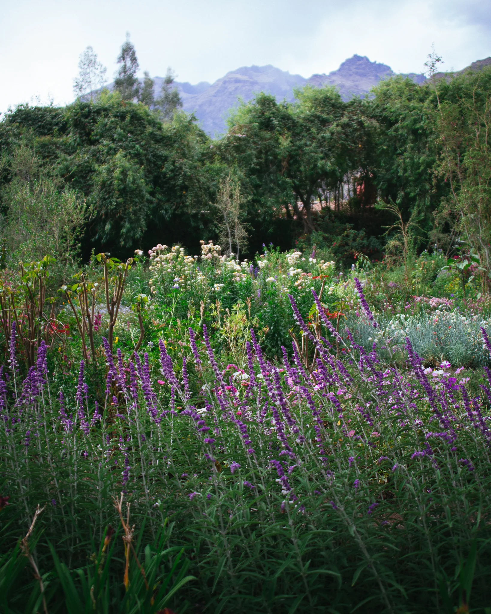 Inna Shnayder @Inna.Shnayder-62.jpg