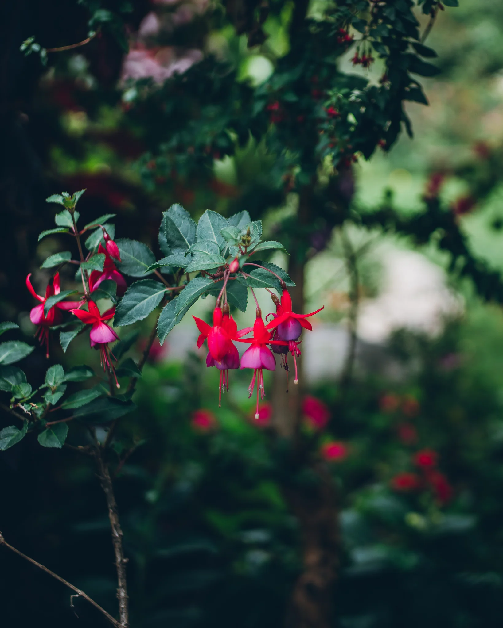 Inna Shnayder @Inna.Shnayder-54.jpg