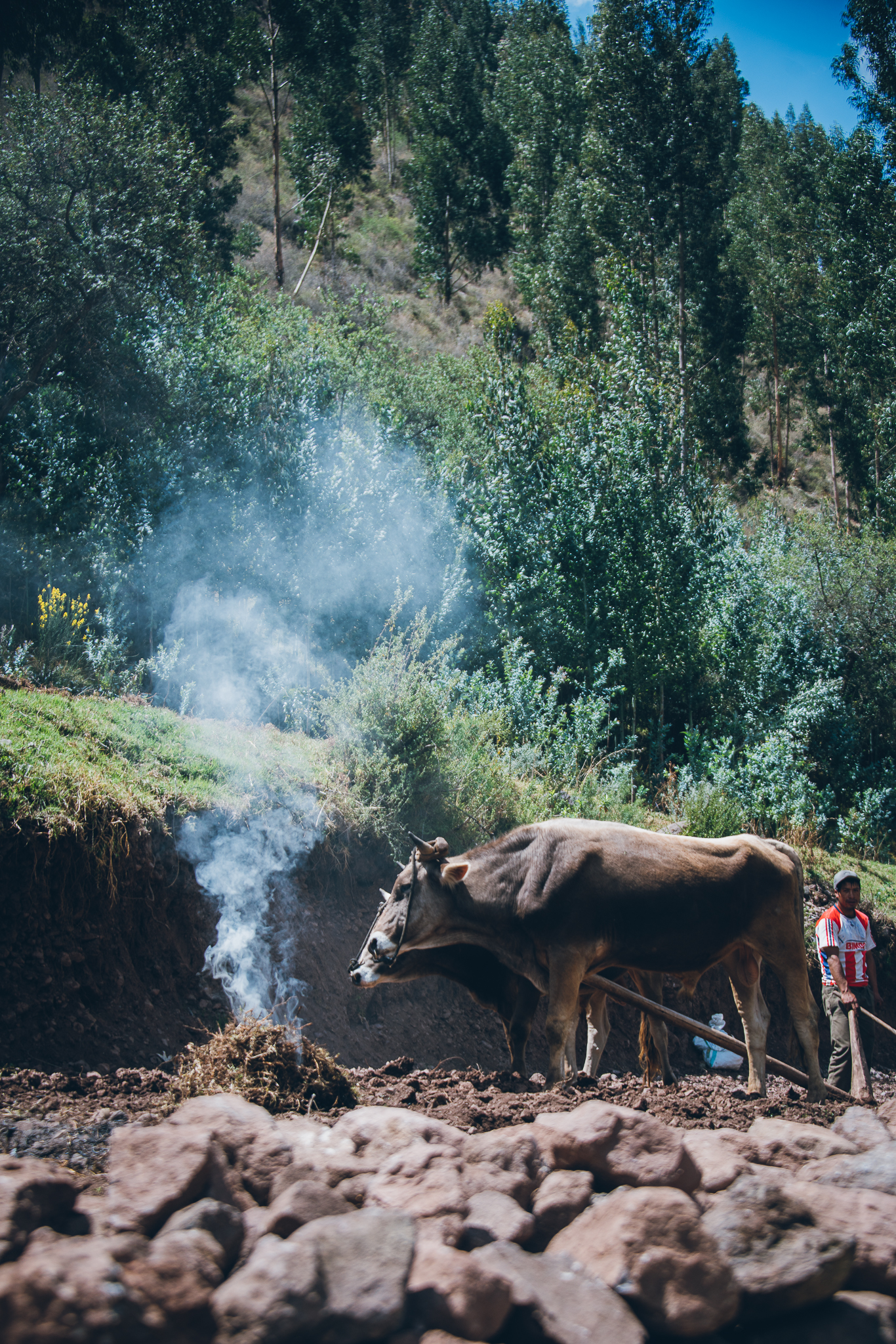 Inna Shnayder @Inna.Shnayder-46.jpg