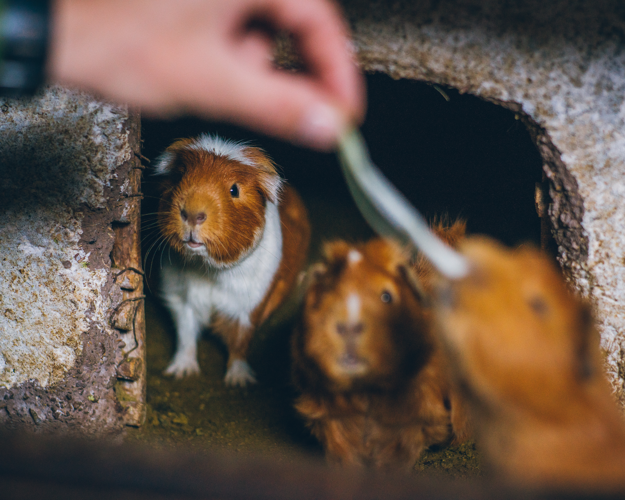 Inna Shnayder @Inna.Shnayder-19.jpg