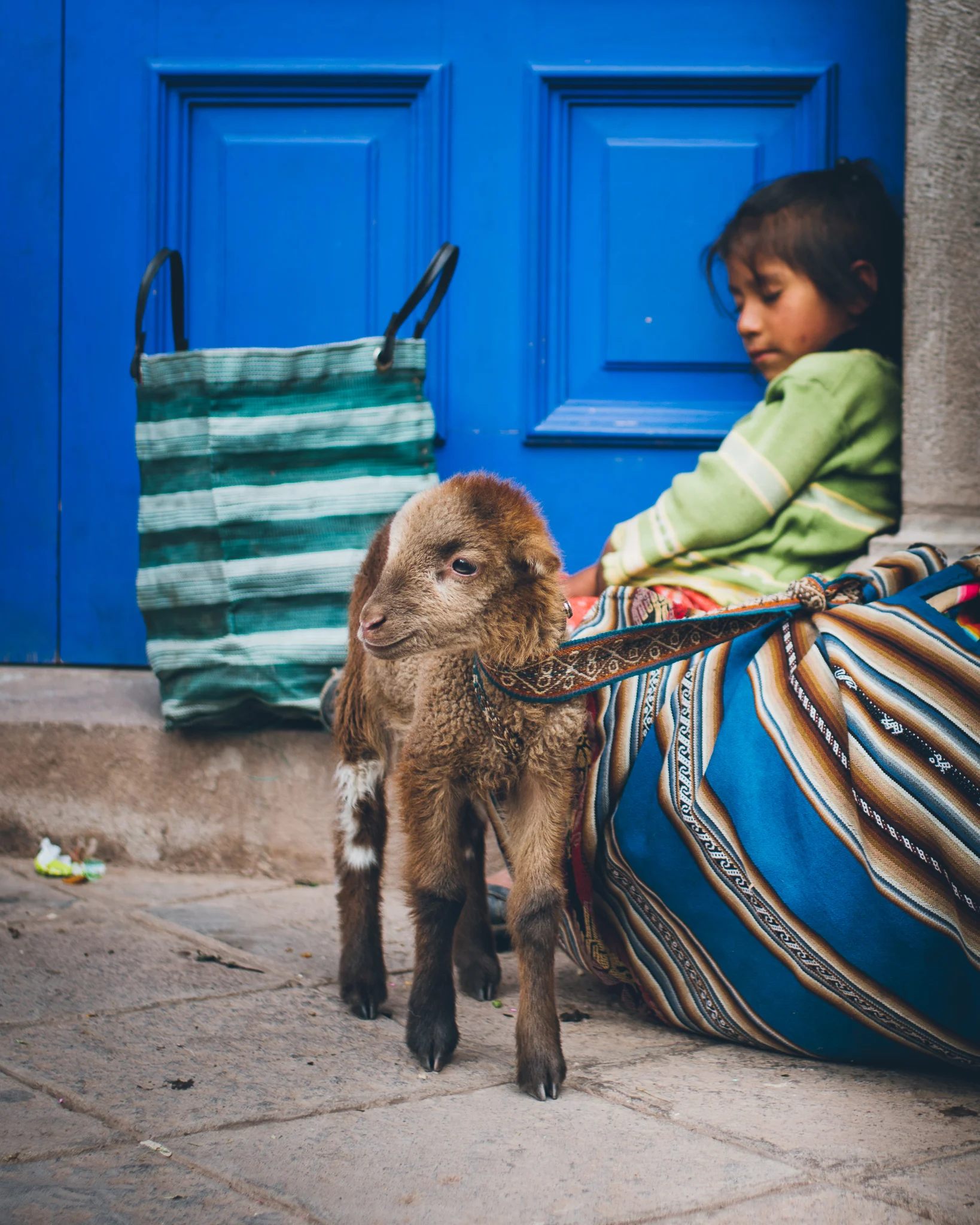 Inna Shnayder @Inna.Shnayder-12.jpg