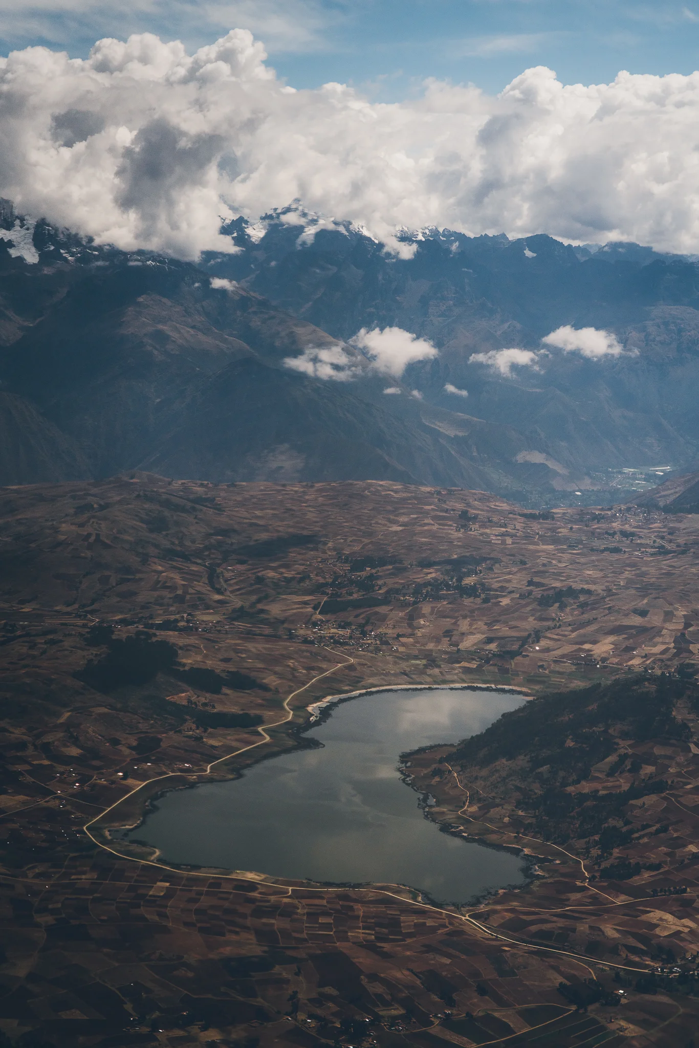 Inna Shnayder @Inna.Shnayder-43.jpg