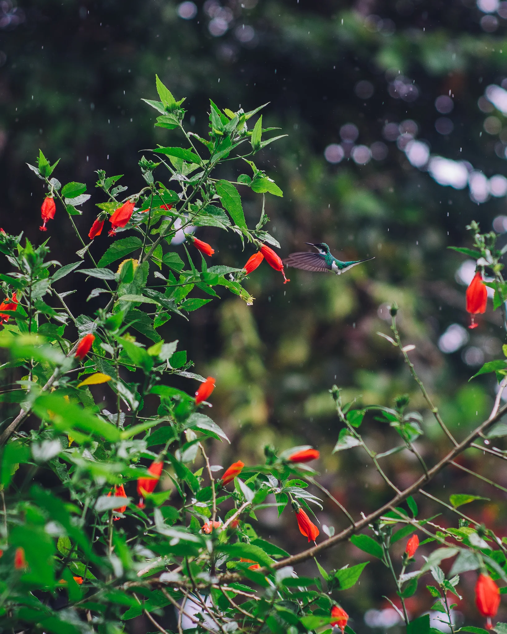 Inna Shnayder @Inna.Shnayder-94.jpg