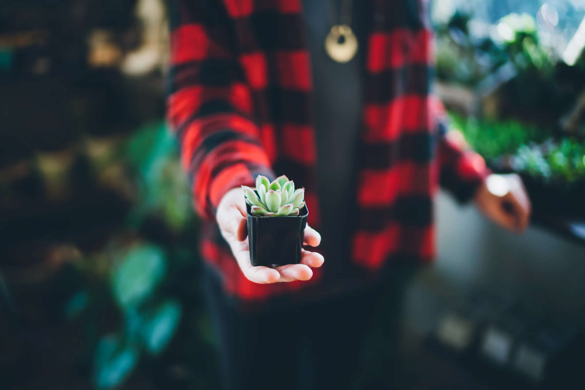 Inna Shnayder @Inna.Shnayder-3.jpg