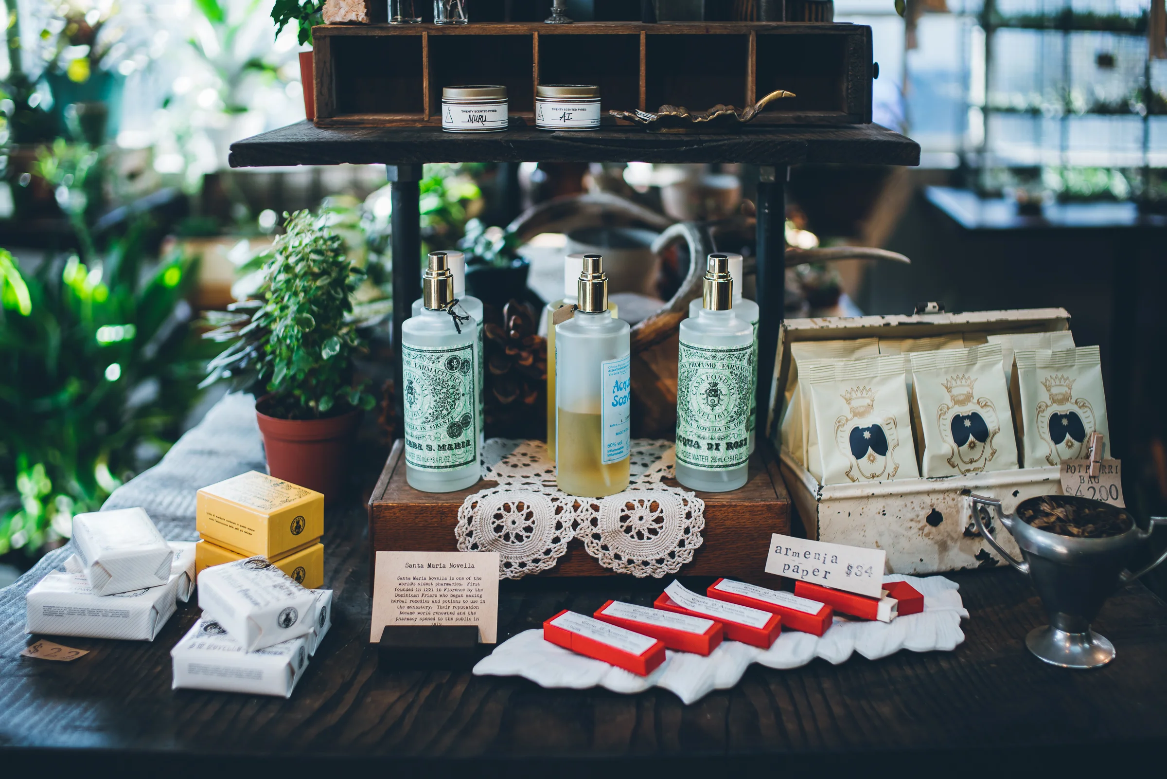 Inna Shnayder @Inna.Shnayder-2.jpg