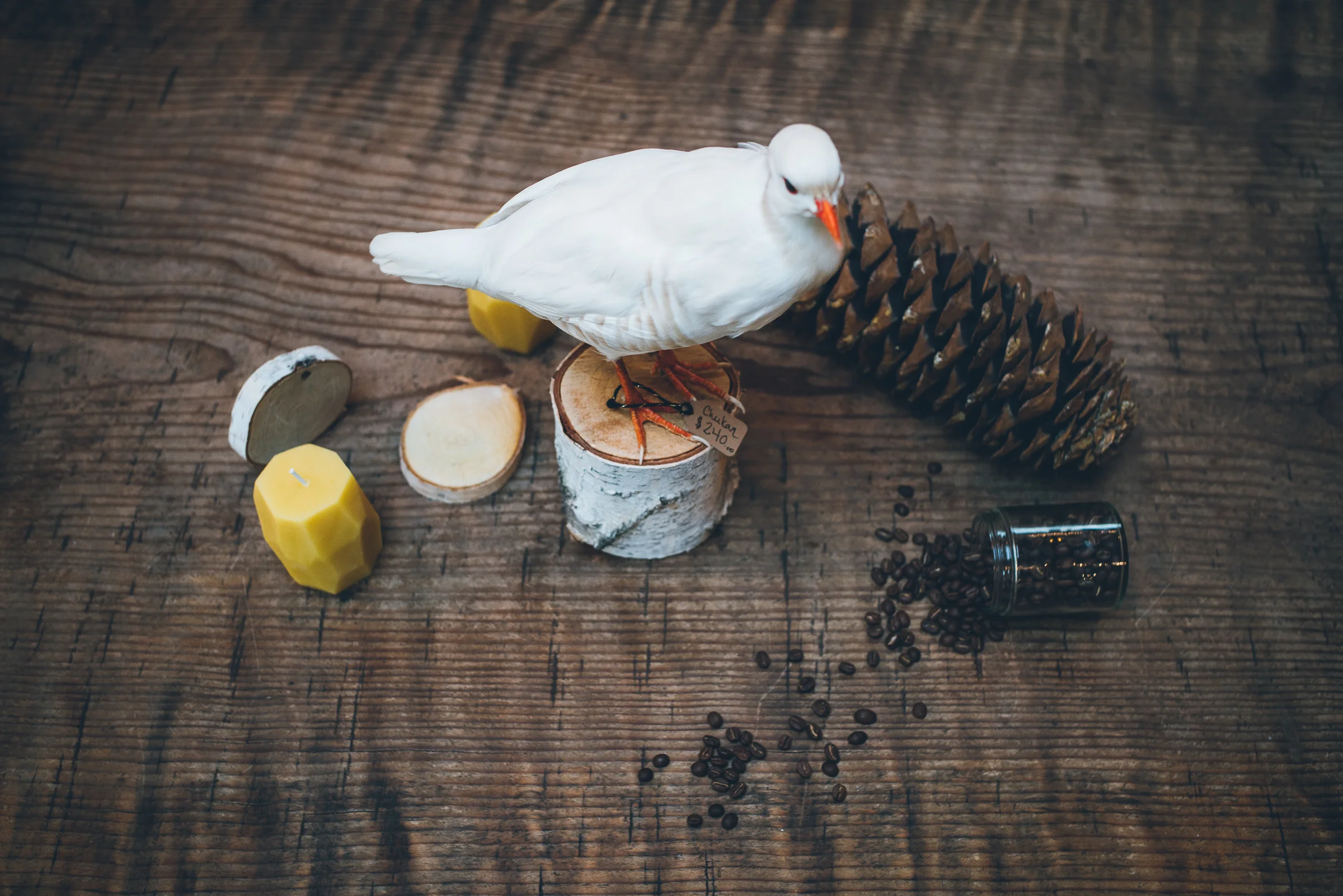 Inna Shnayder @Inna.Shnayder-5.jpg