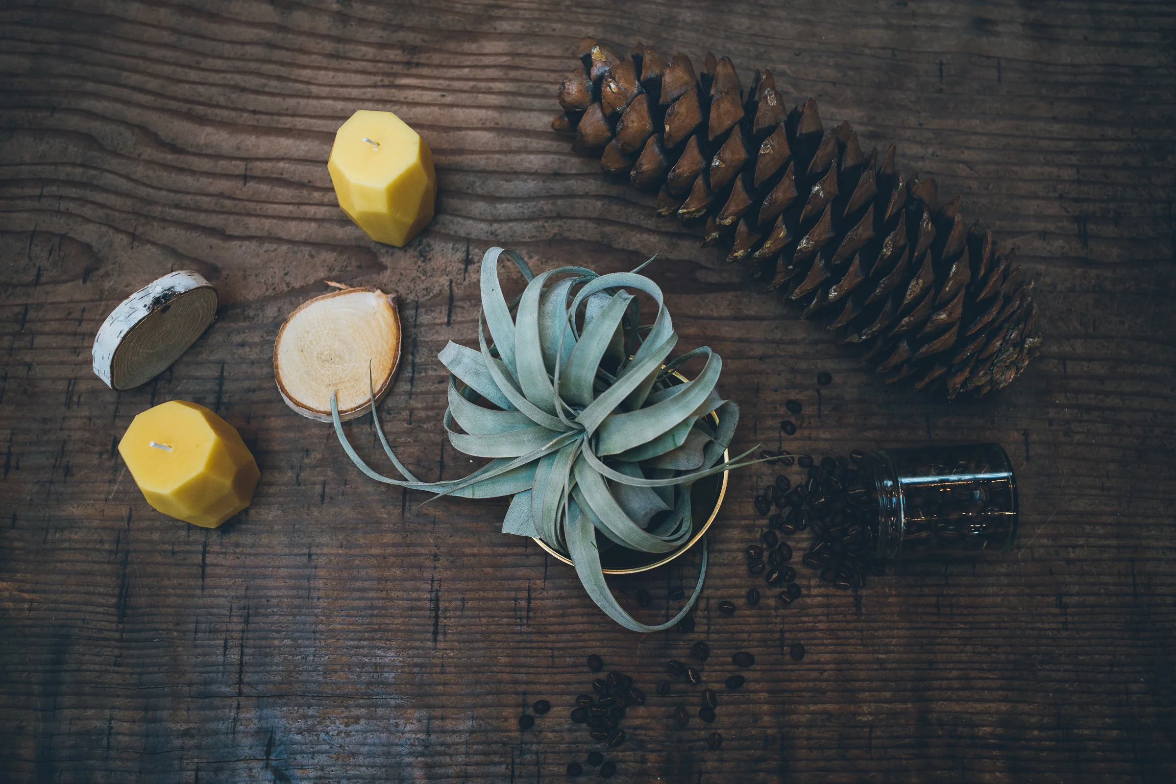 Inna Shnayder @Inna.Shnayder-7.jpg