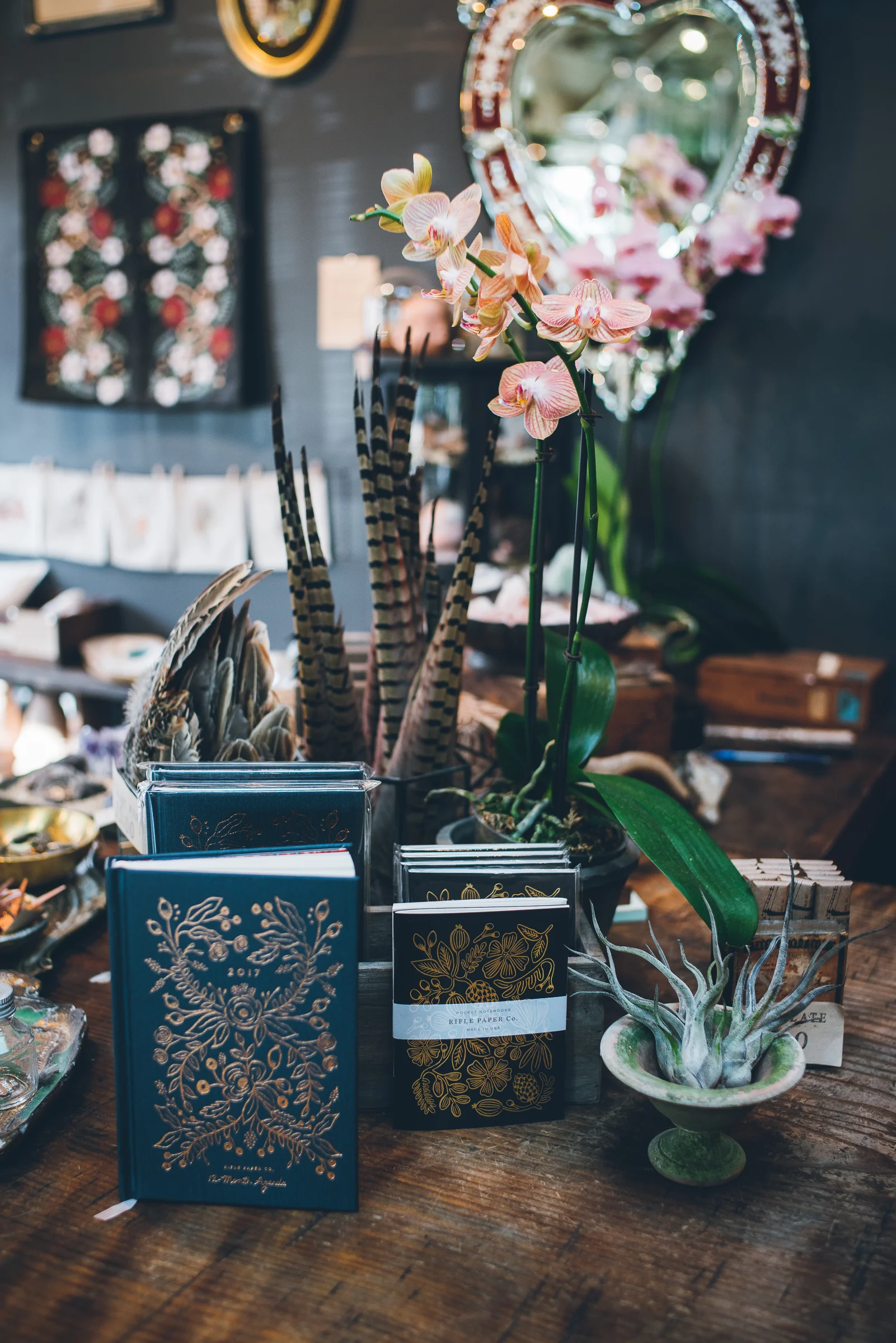 Inna Shnayder @Inna.Shnayder-9.jpg