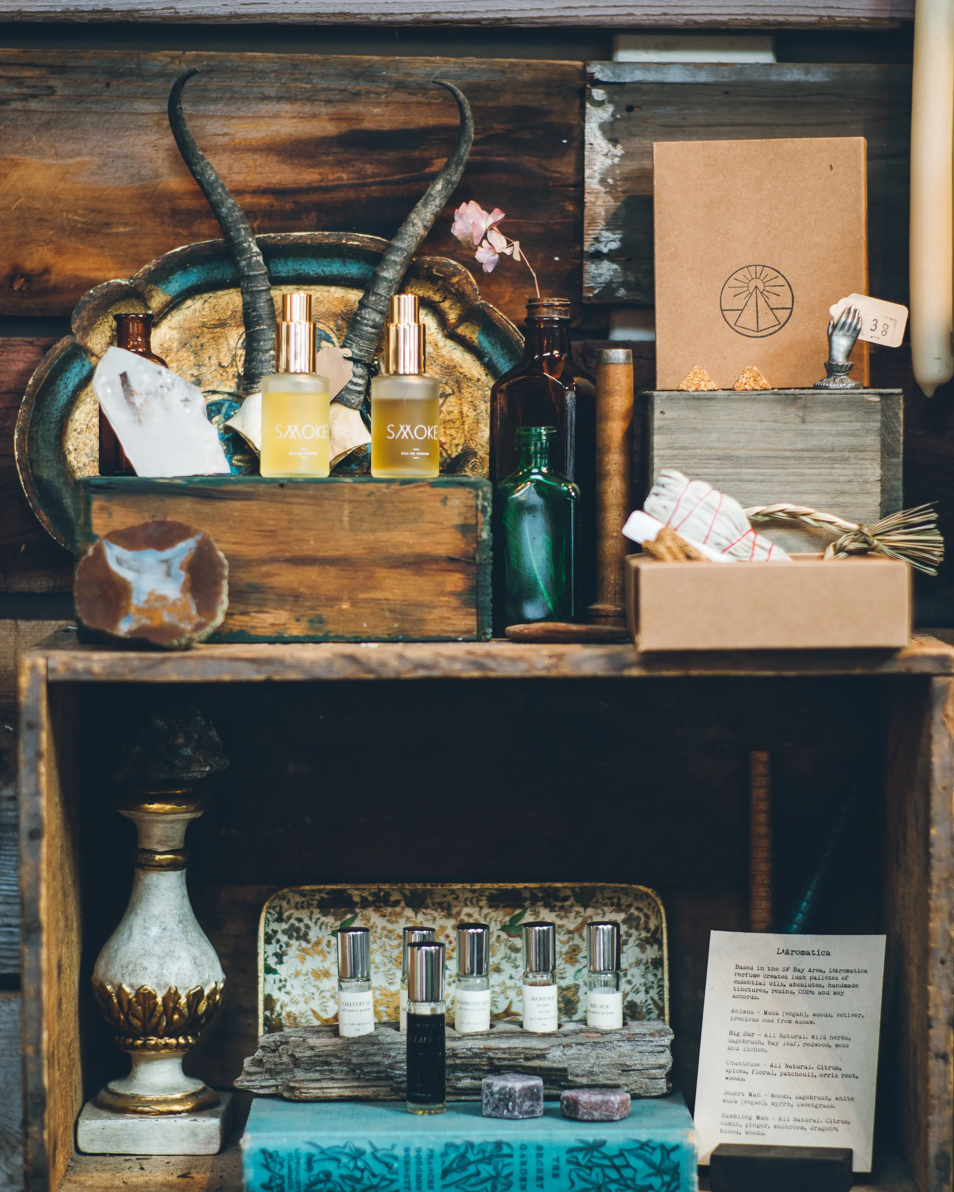 Inna Shnayder @Inna.Shnayder-11.jpg