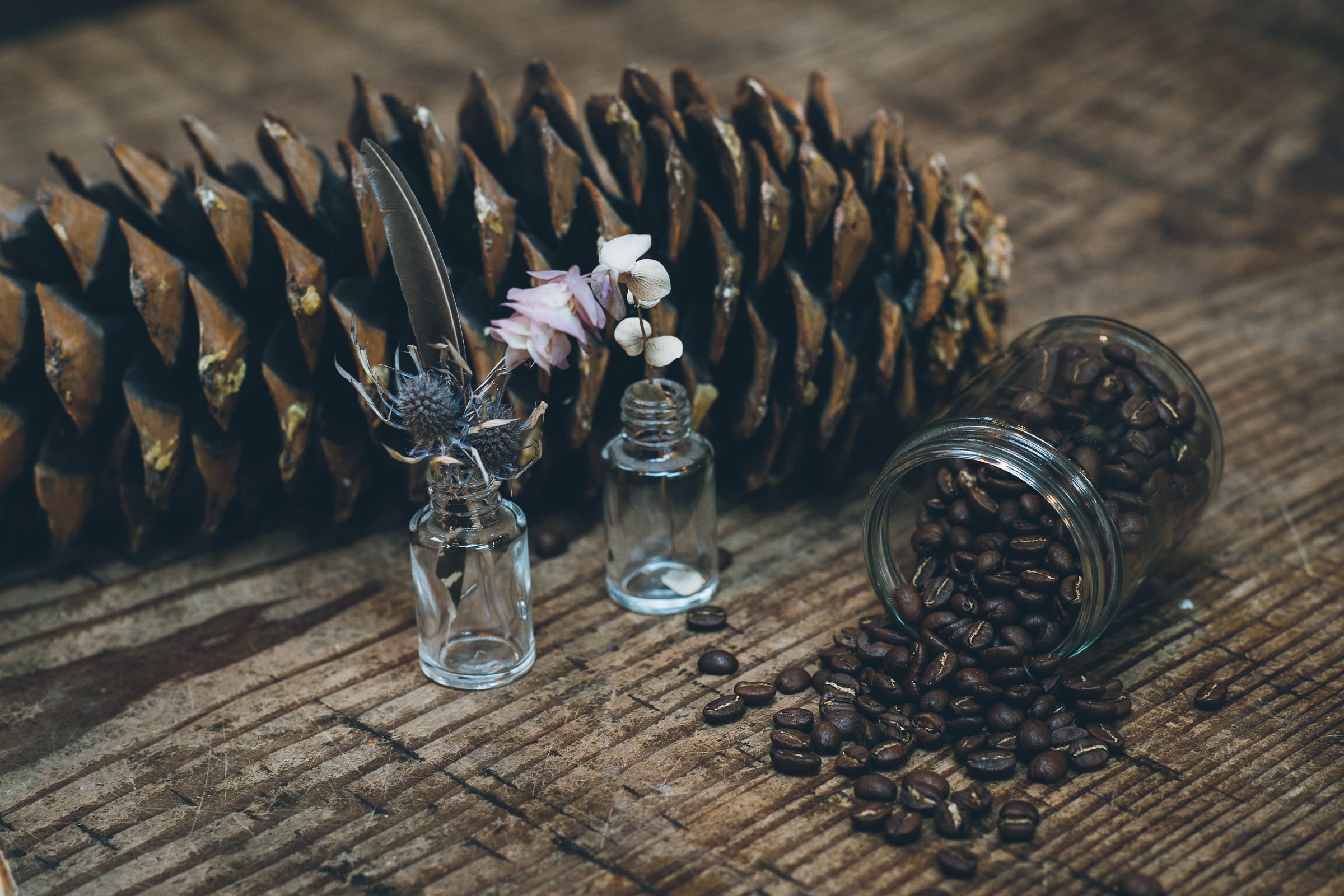 Inna Shnayder @Inna.Shnayder-12.jpg