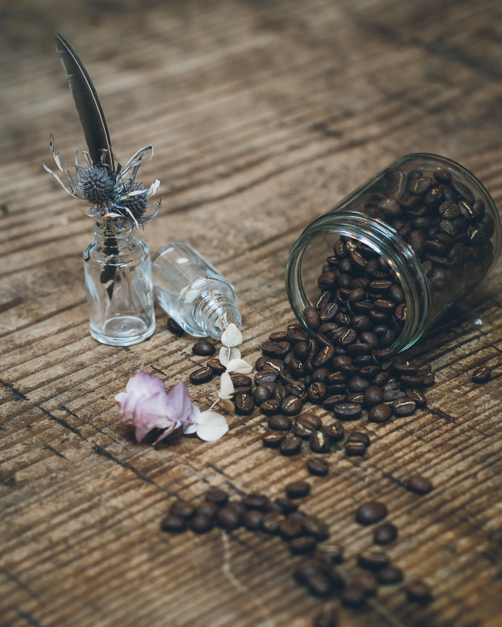 Inna Shnayder @Inna.Shnayder-13.jpg