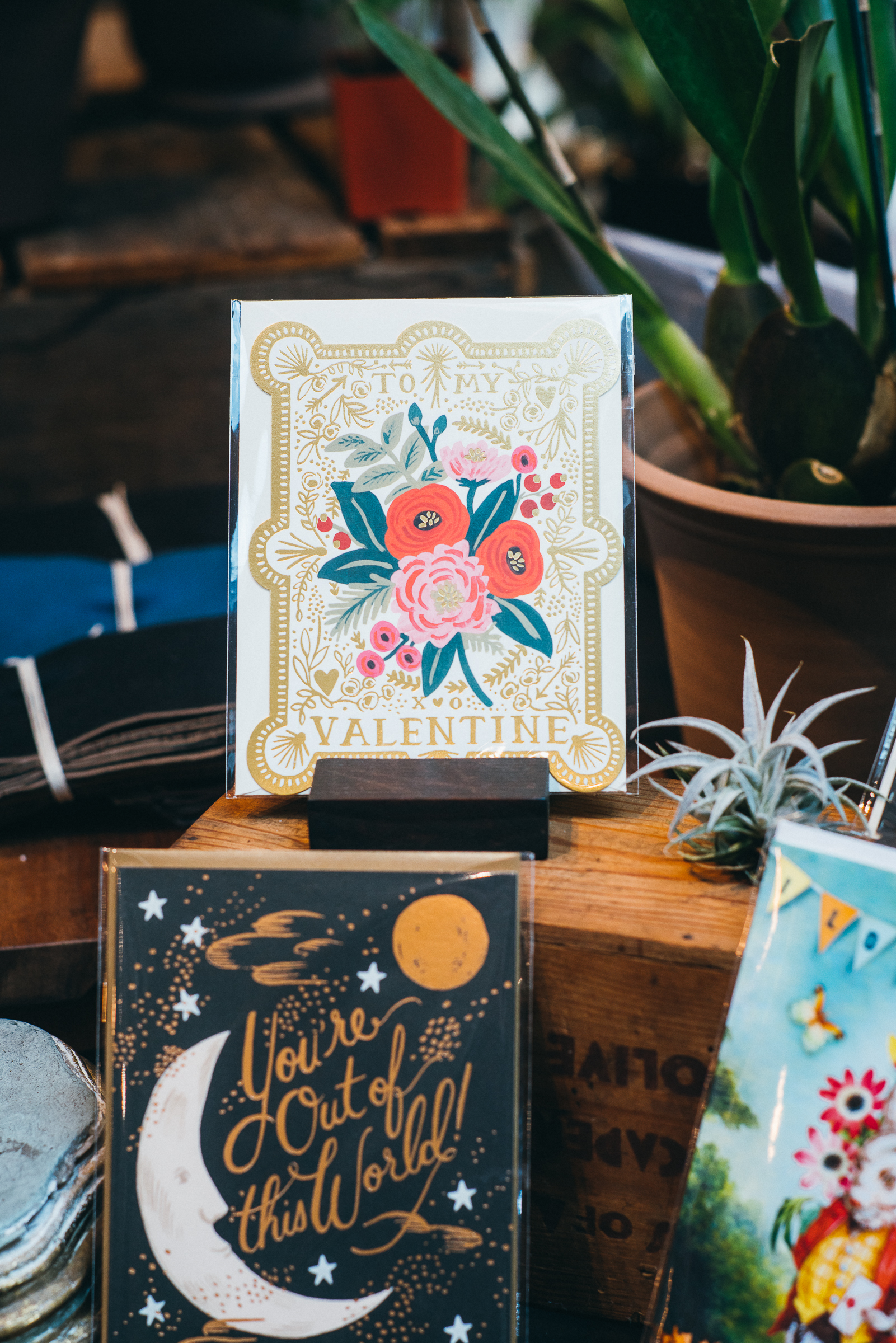 Inna Shnayder @Inna.Shnayder-14.jpg