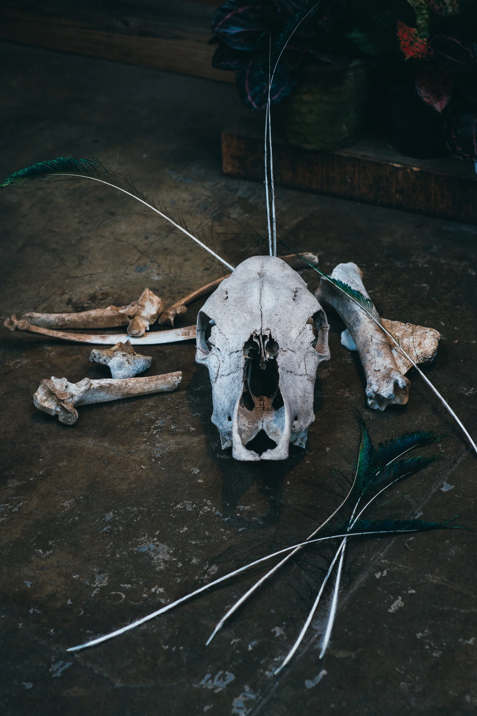 Inna Shnayder @Inna.Shnayder-15.jpg