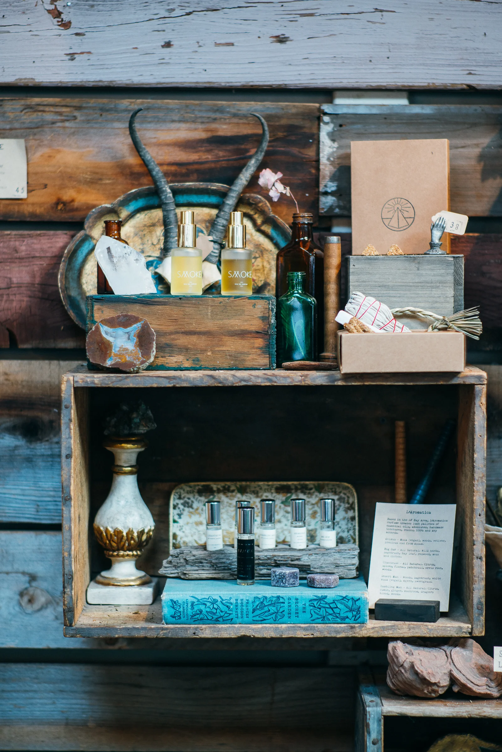 Inna Shnayder @Inna.Shnayder-17.jpg