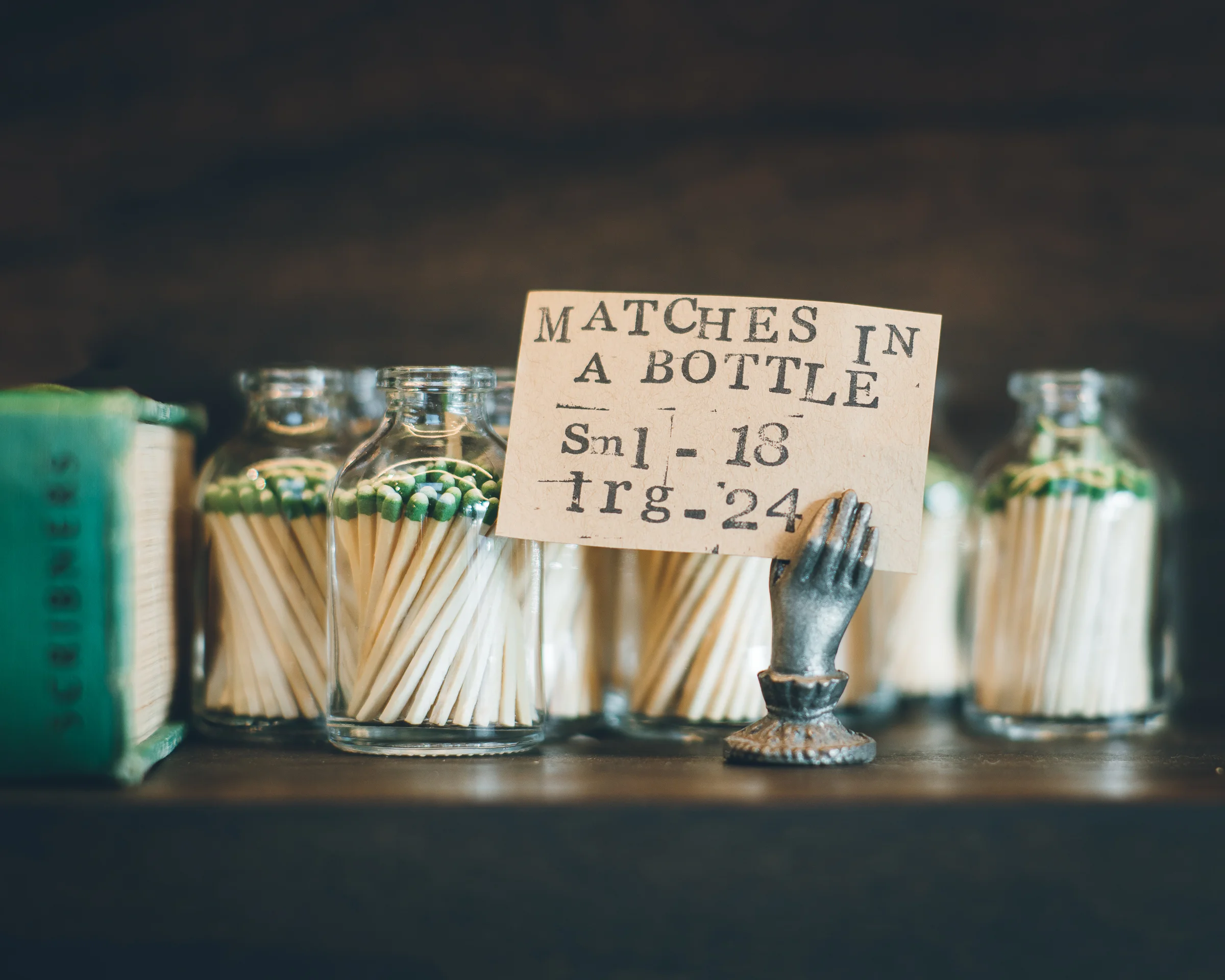 Inna Shnayder @Inna.Shnayder-20.jpg