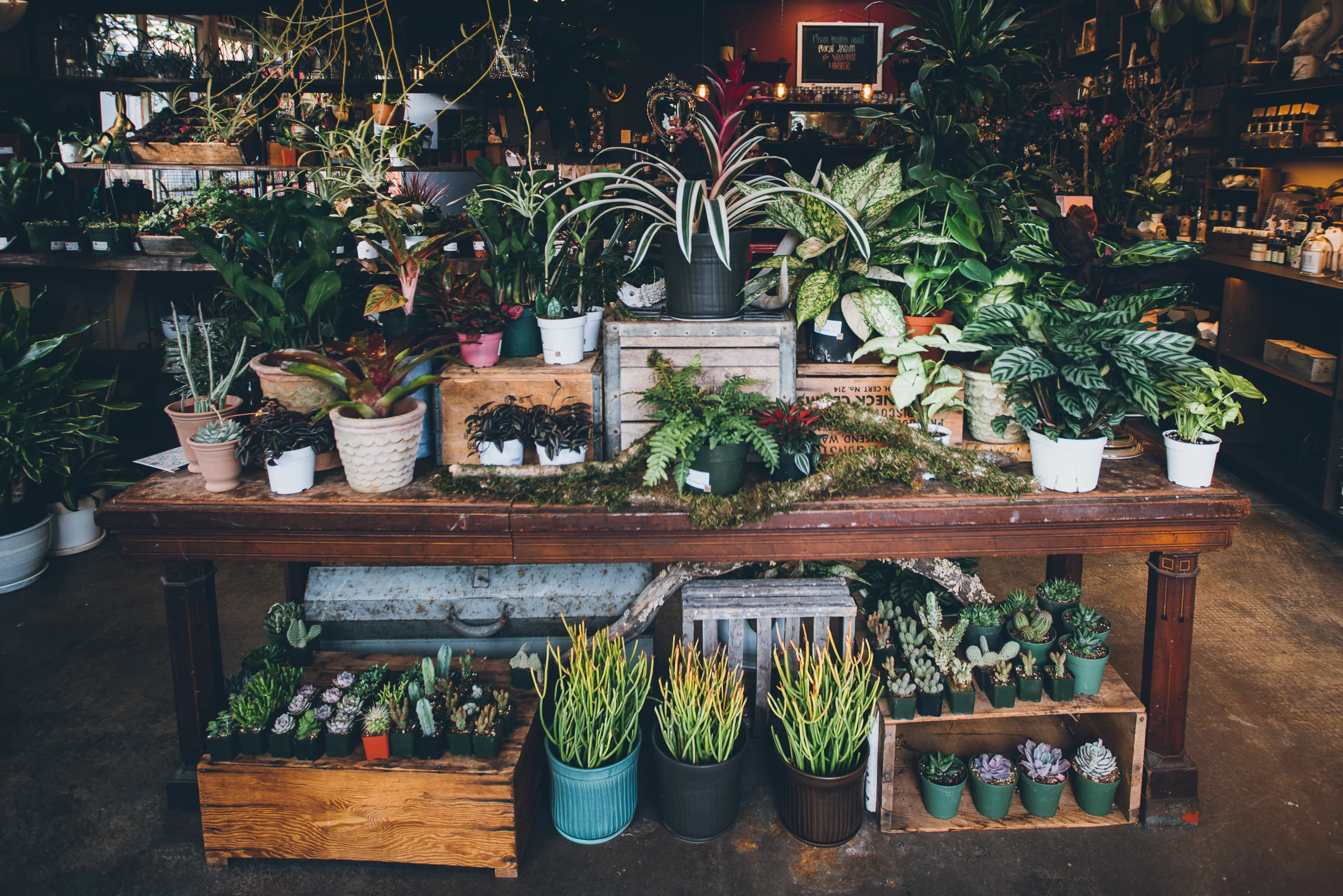 Inna Shnayder @Inna.Shnayder-26.jpg