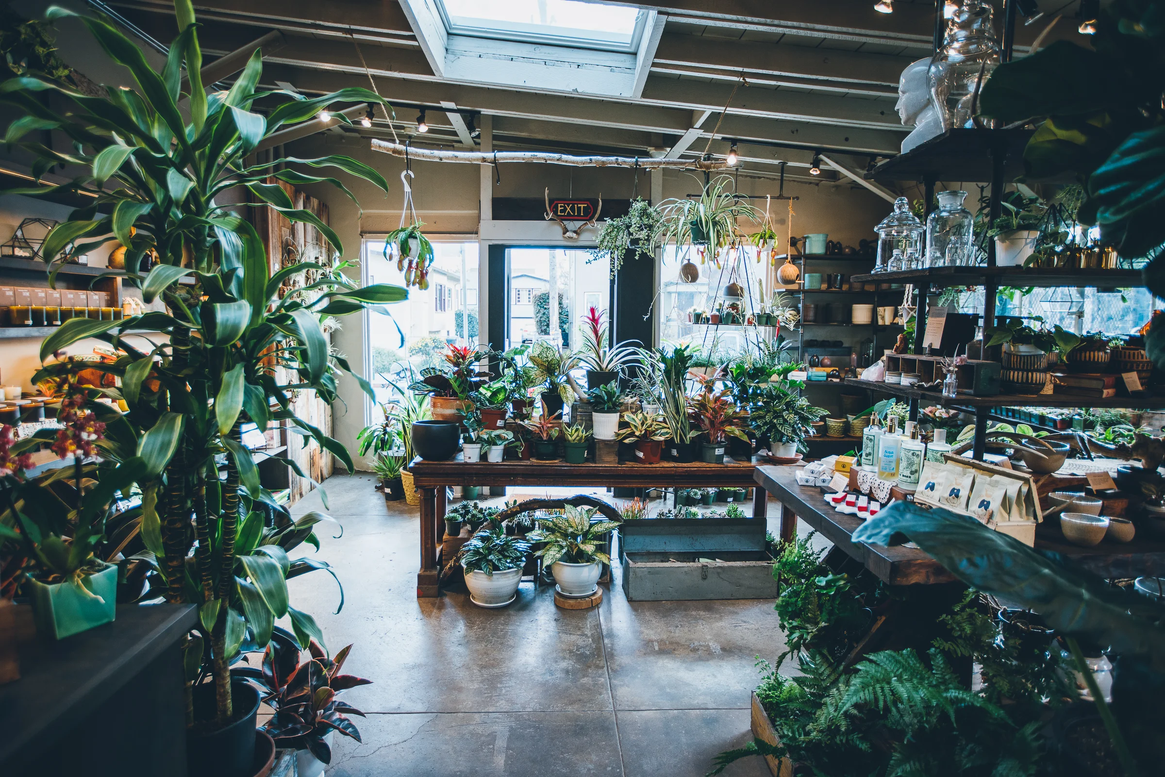 Inna Shnayder @Inna.Shnayder-25.jpg