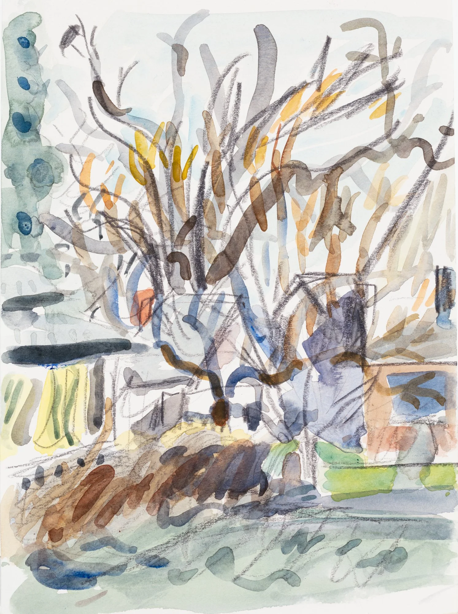 31_Side Yard_Applegate.jpg