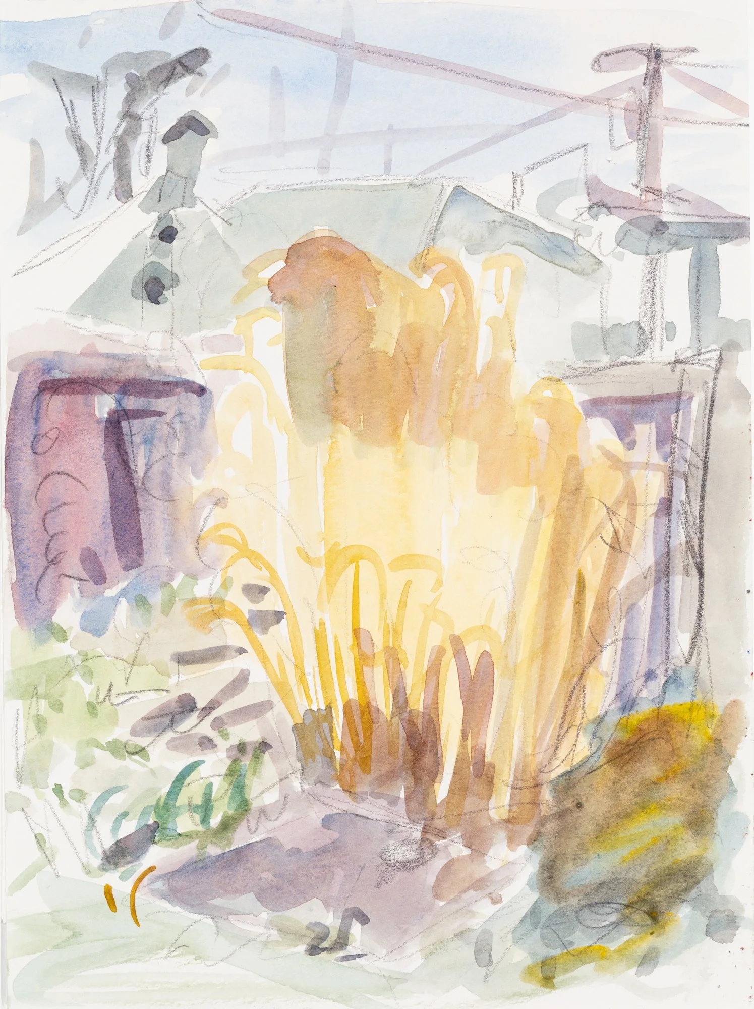 30_The Tall Grass_Applegate.jpg