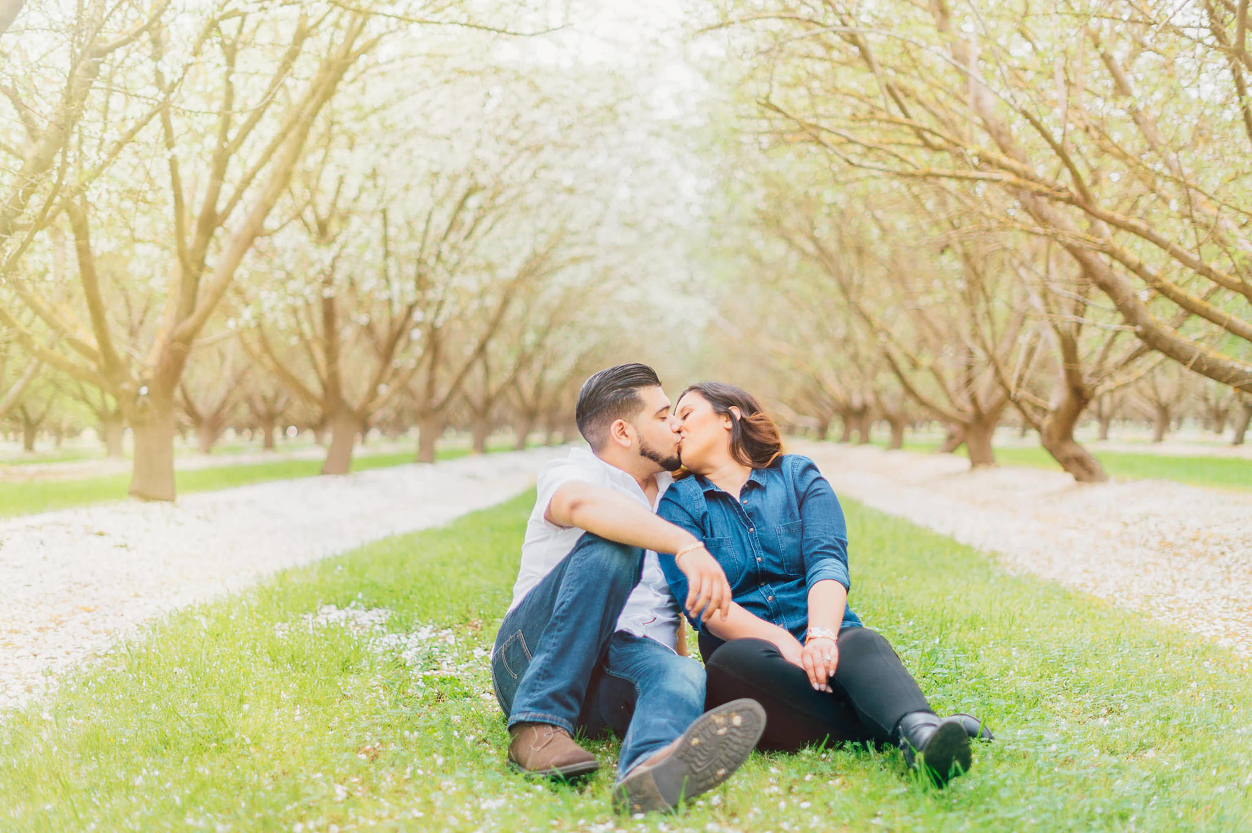 Bakersfield Almond Orchard Photographer  | Wilde Sparrow Photography