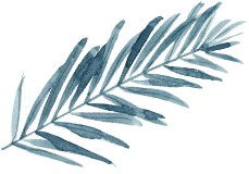 palm copy 5.png