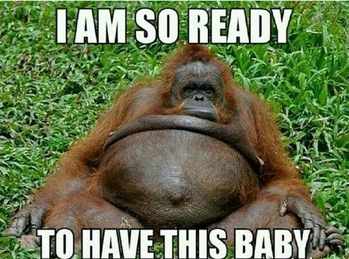 The 5 Stages of the Third Trimester