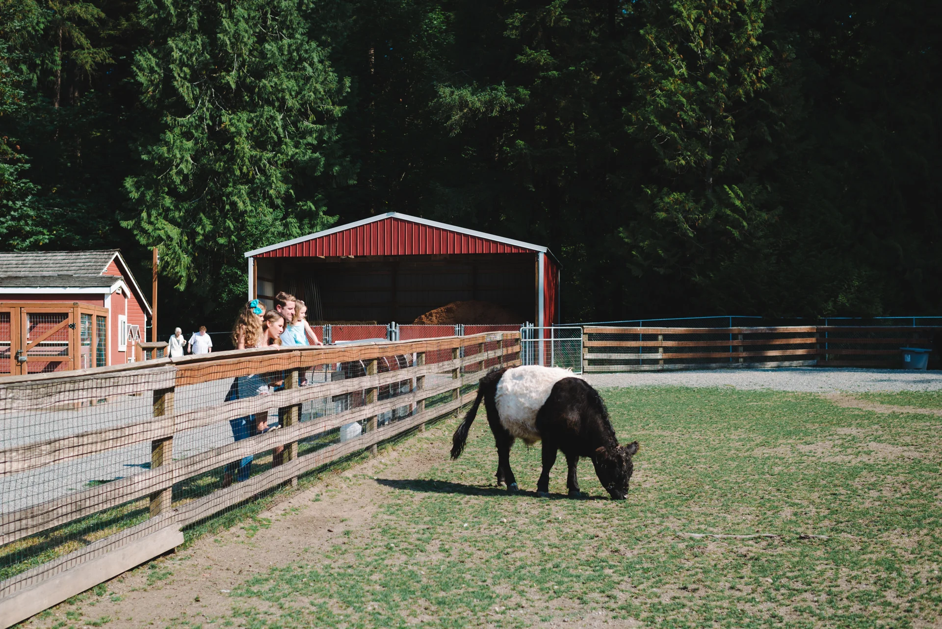 20150818_AmberZbitnoffKnecht_TownesAugust_blog01_0004.jpg