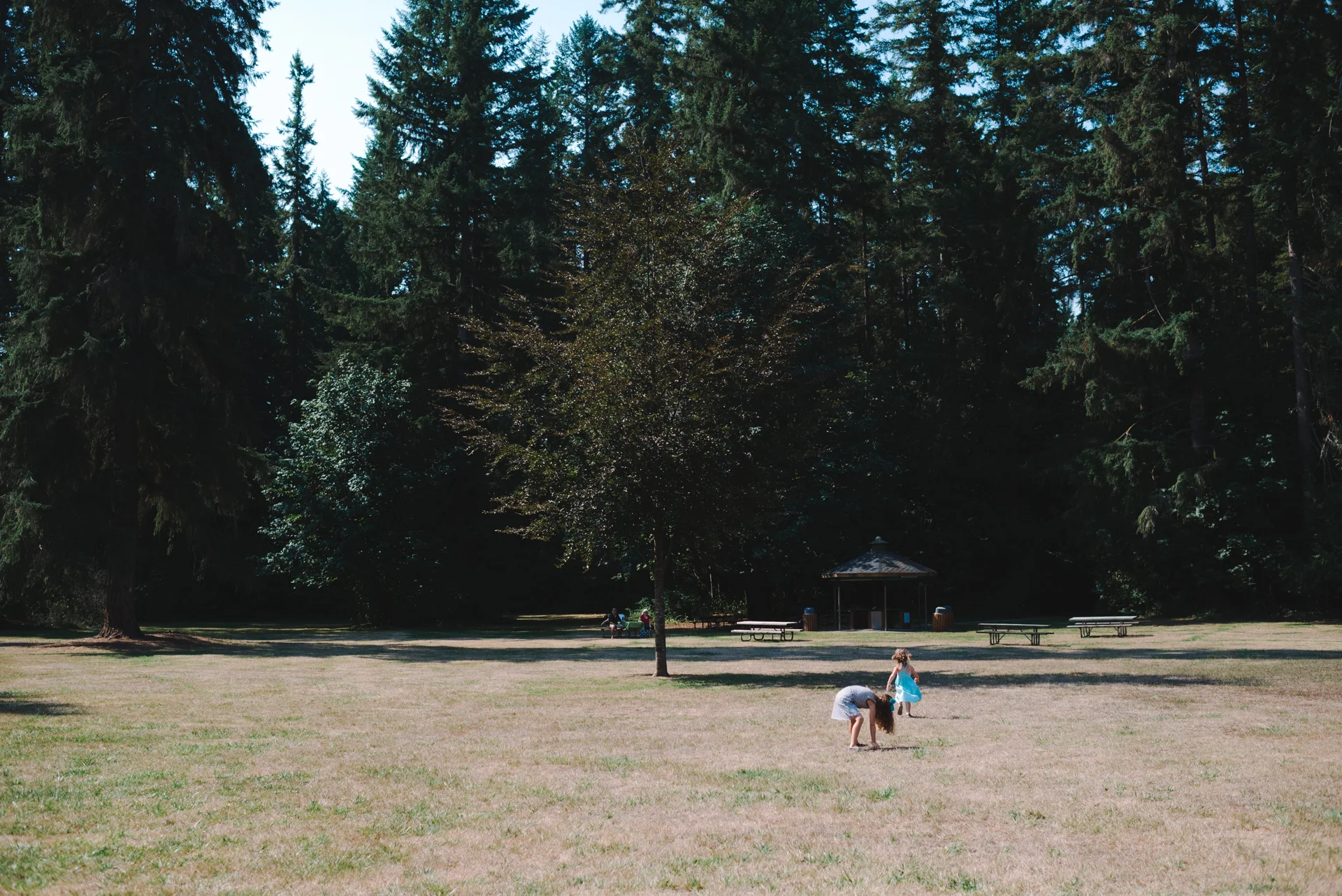 20150818_AmberZbitnoffKnecht_TownesAugust_blog22_0418.jpg