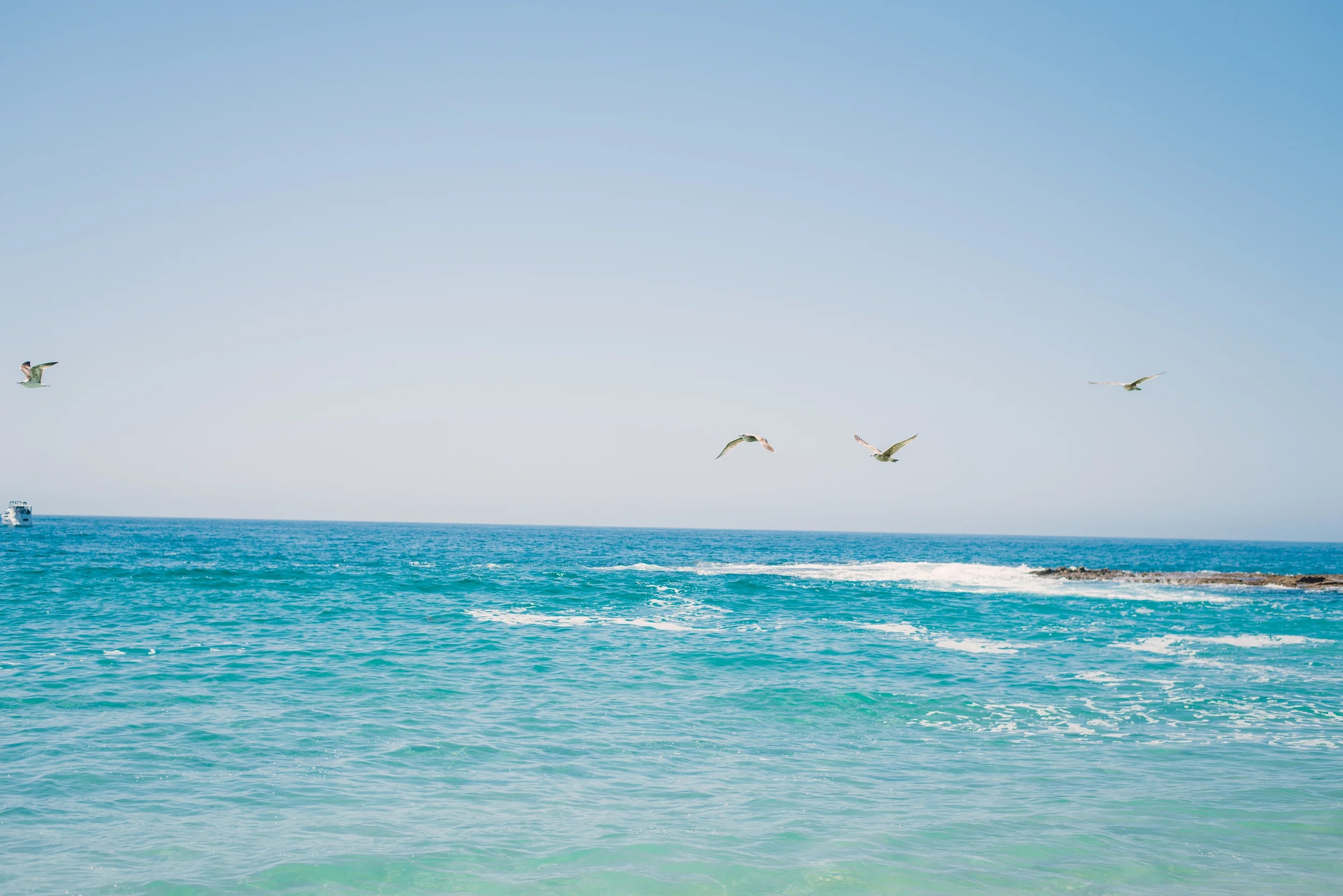 California_2015_Photos48233.jpg