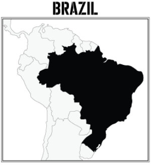 brazilmap.gif
