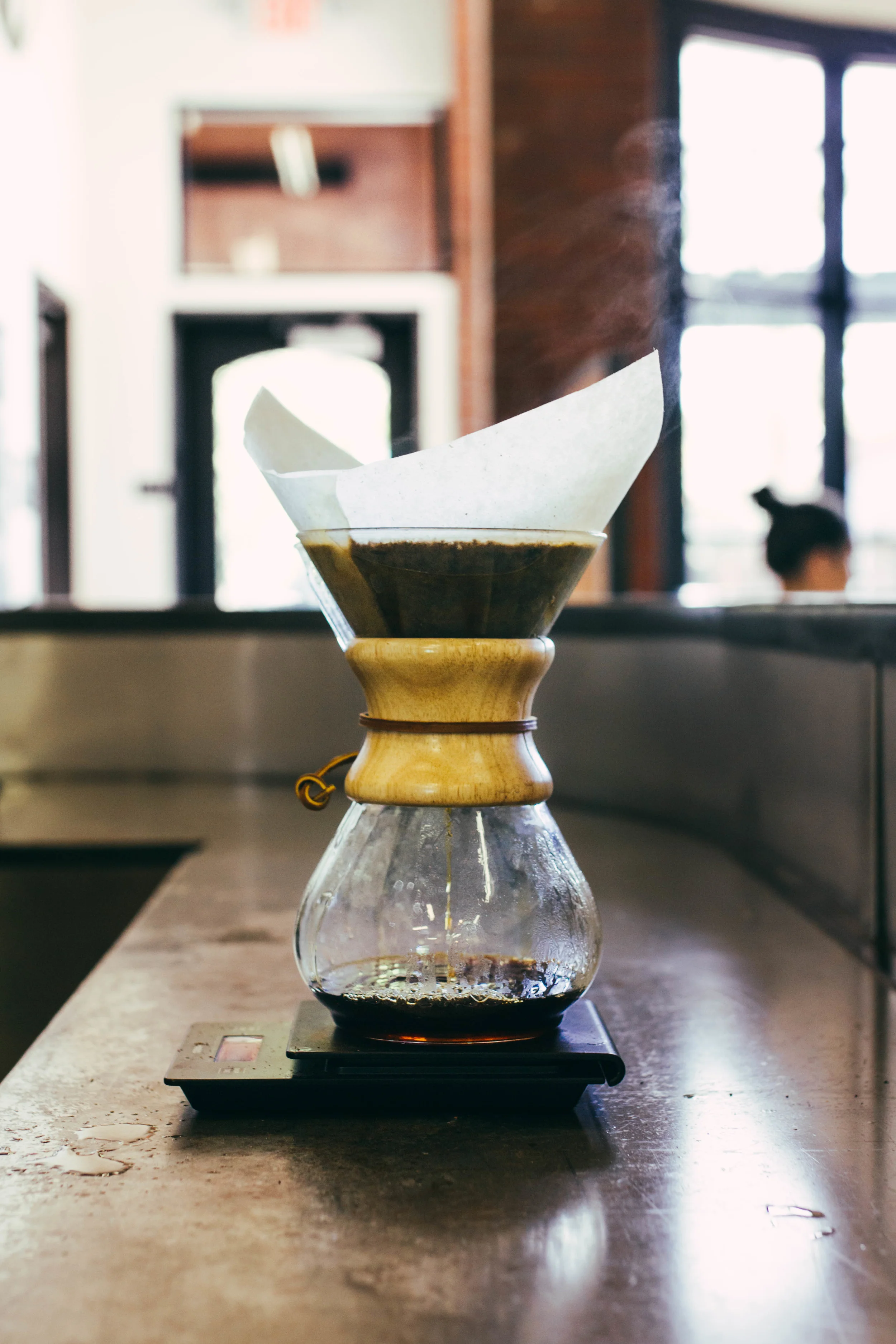 chemex coffee filters 6 cup