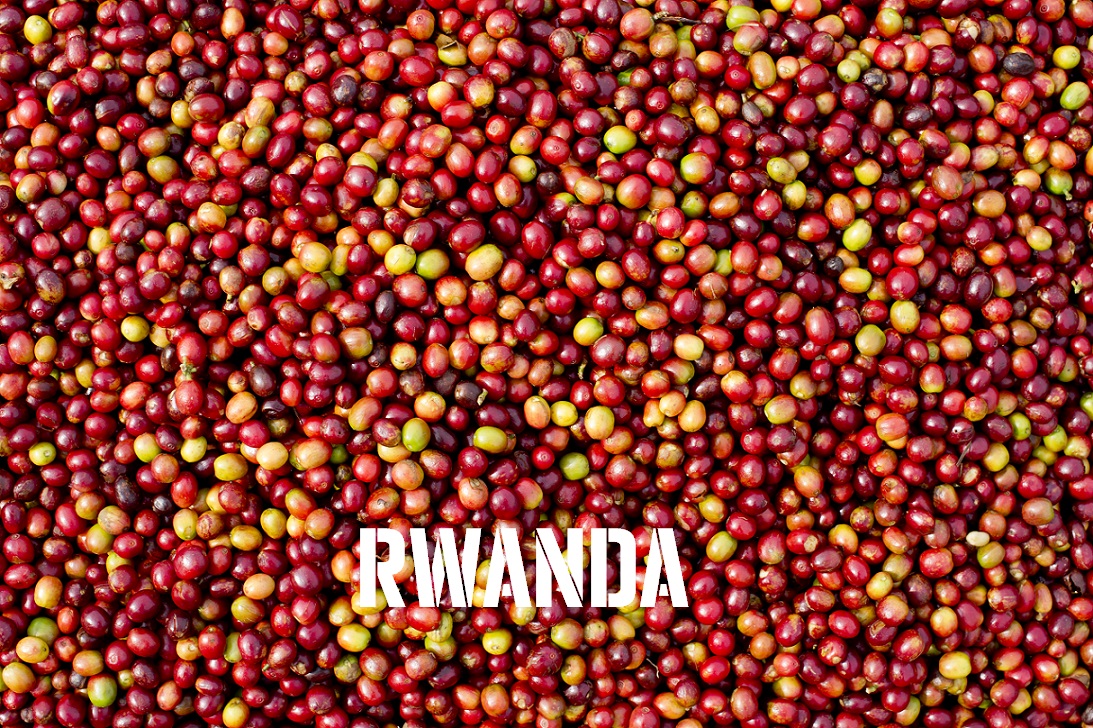 20110718_rwanda_0178.jpg