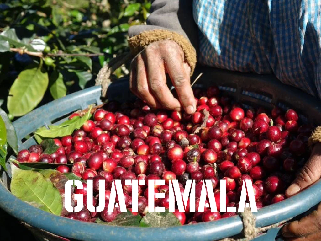 Guatemala.jpg