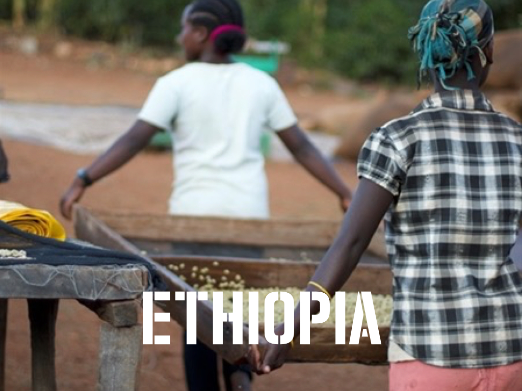 Ethiopia.jpg
