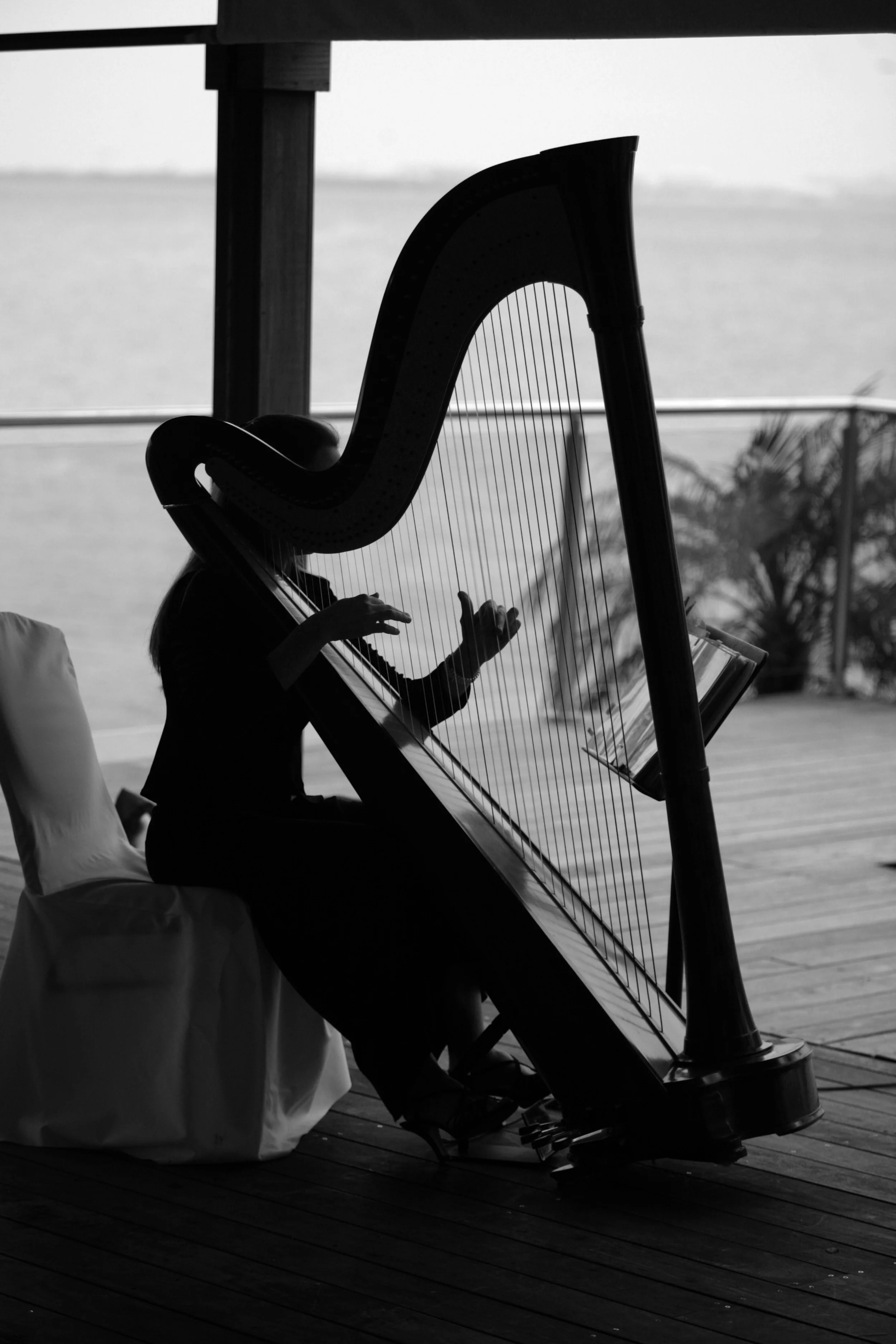 harpist