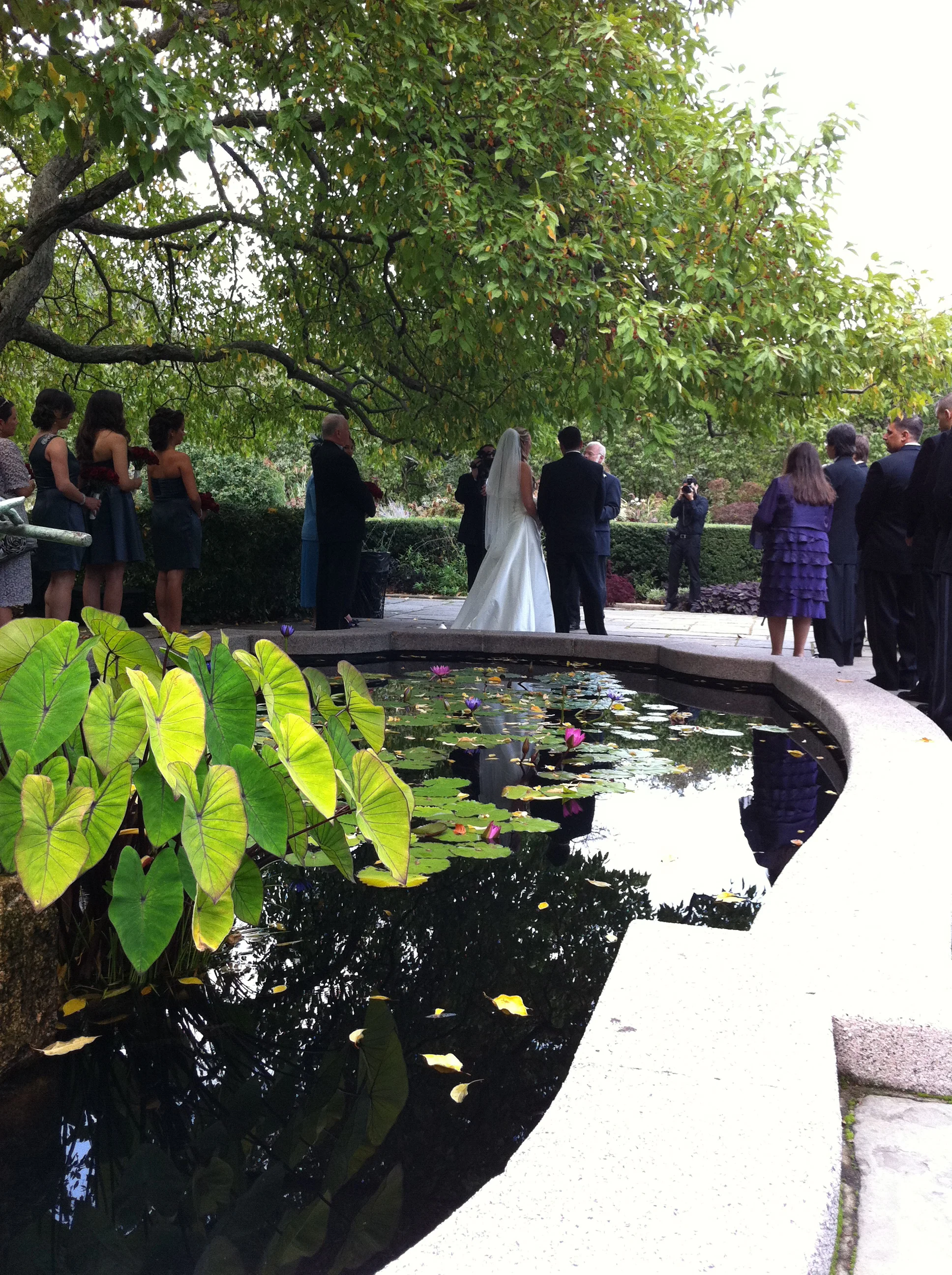 Wedding ceremony central park