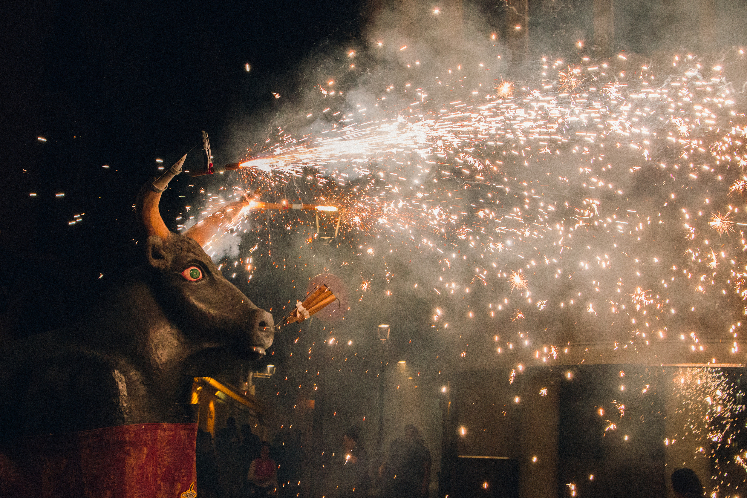 20150623-Correfoc 2015-6.jpg