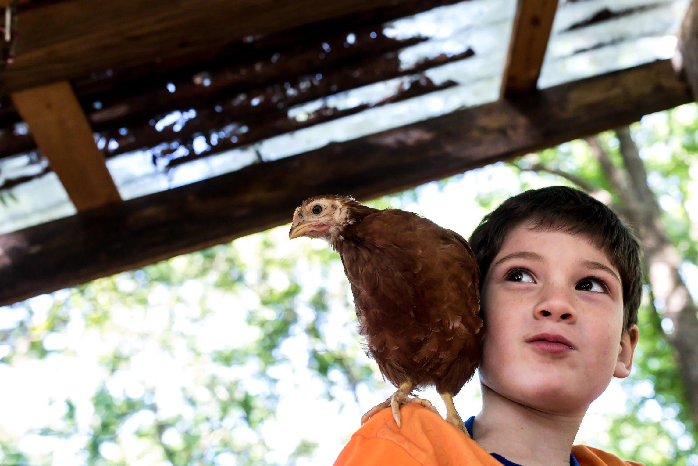 Kelly home session March 18-0505.JPG