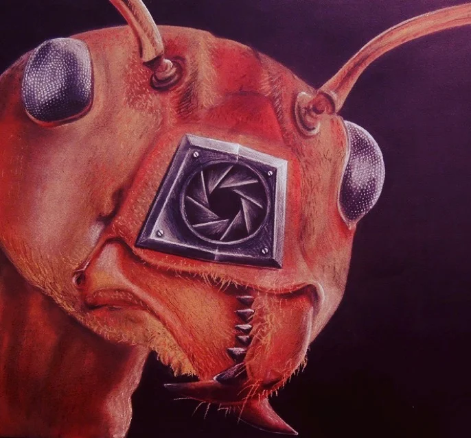 Aperture19" x 19", pastel on black paper, 2015