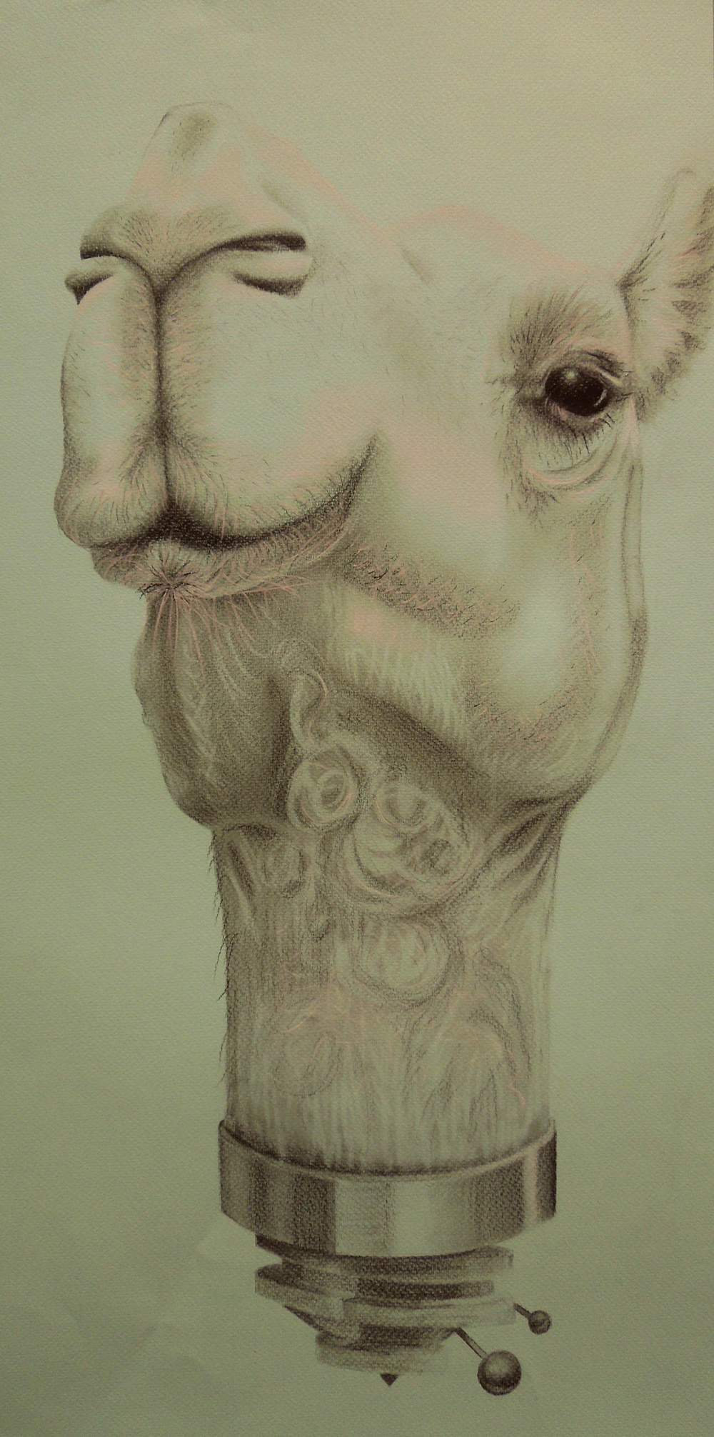 A Better View14" x 24", charcoal on toned paper, 2015