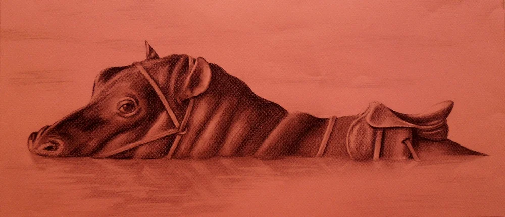 What You Don't Know9" x 19", charcoal on toned paper, 2015