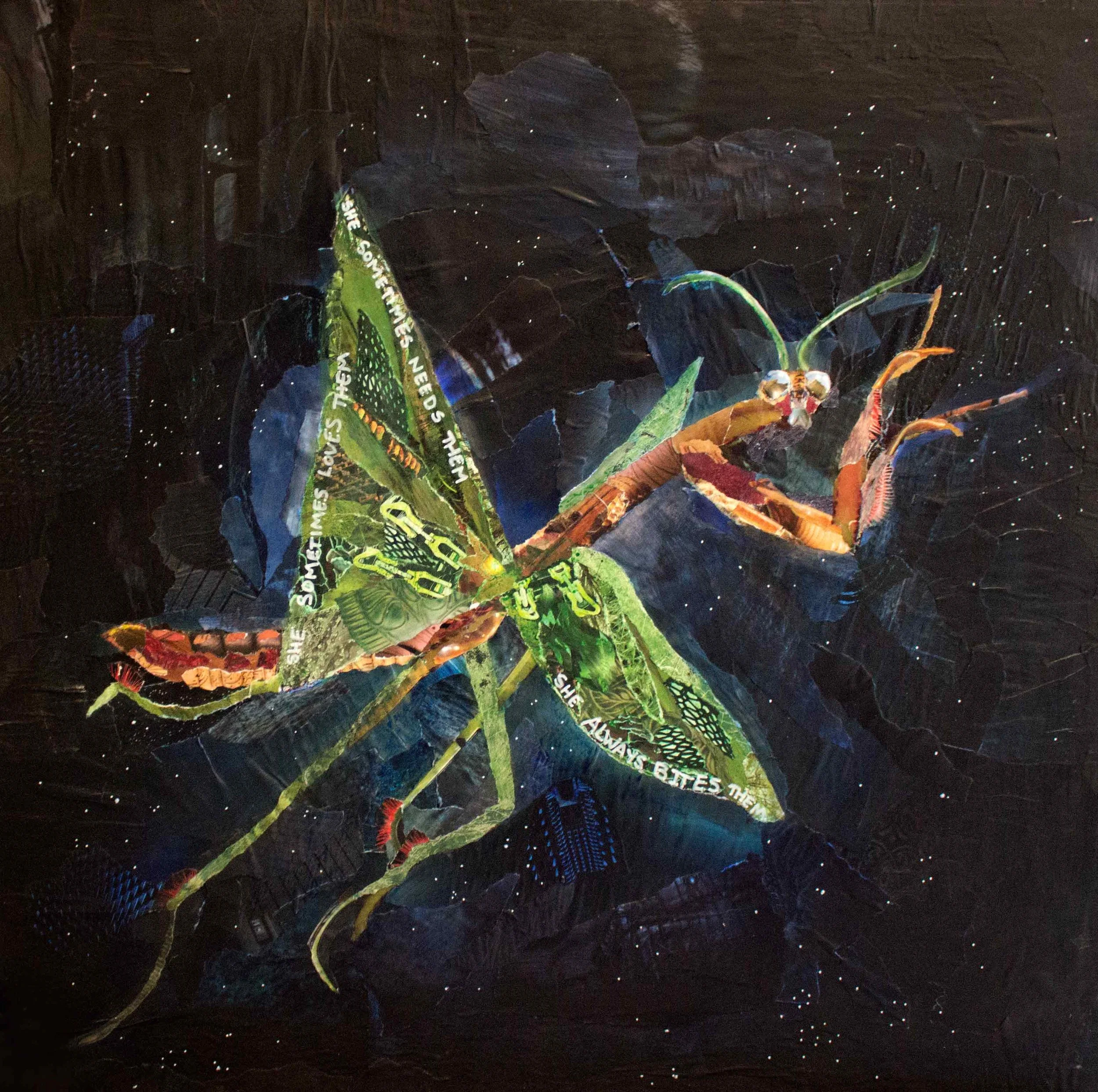 The Better to Find You18” x 18”, mixed paper photograph collage, acrylic, 2016