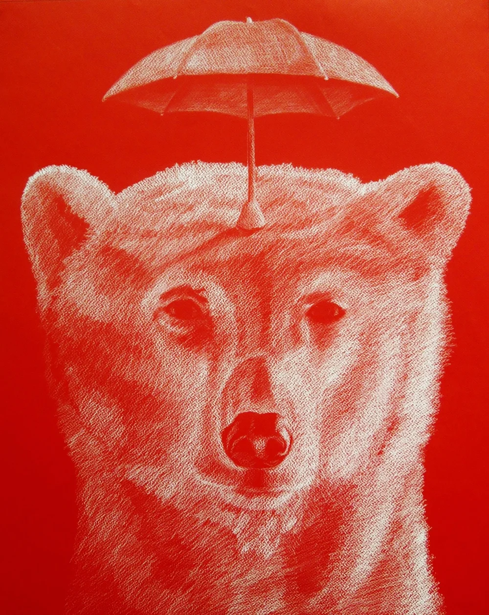 Rainy Day Bear18" x 24", white chalk on red paper, 2016