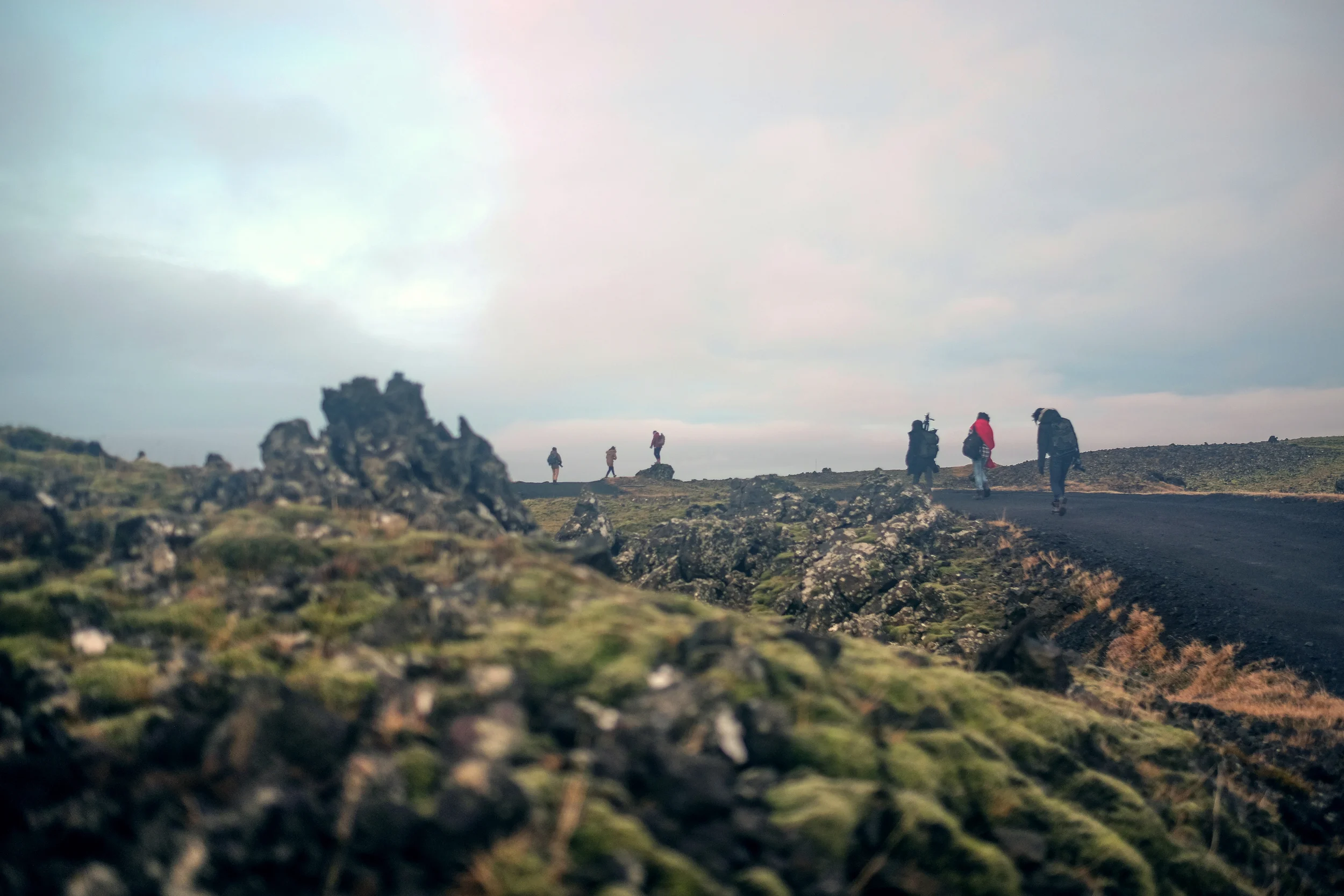 DSCF3132-01.jpg